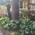 Eden